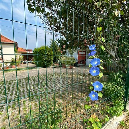 Mandula Haz Hotel Veszprém Buitenkant foto