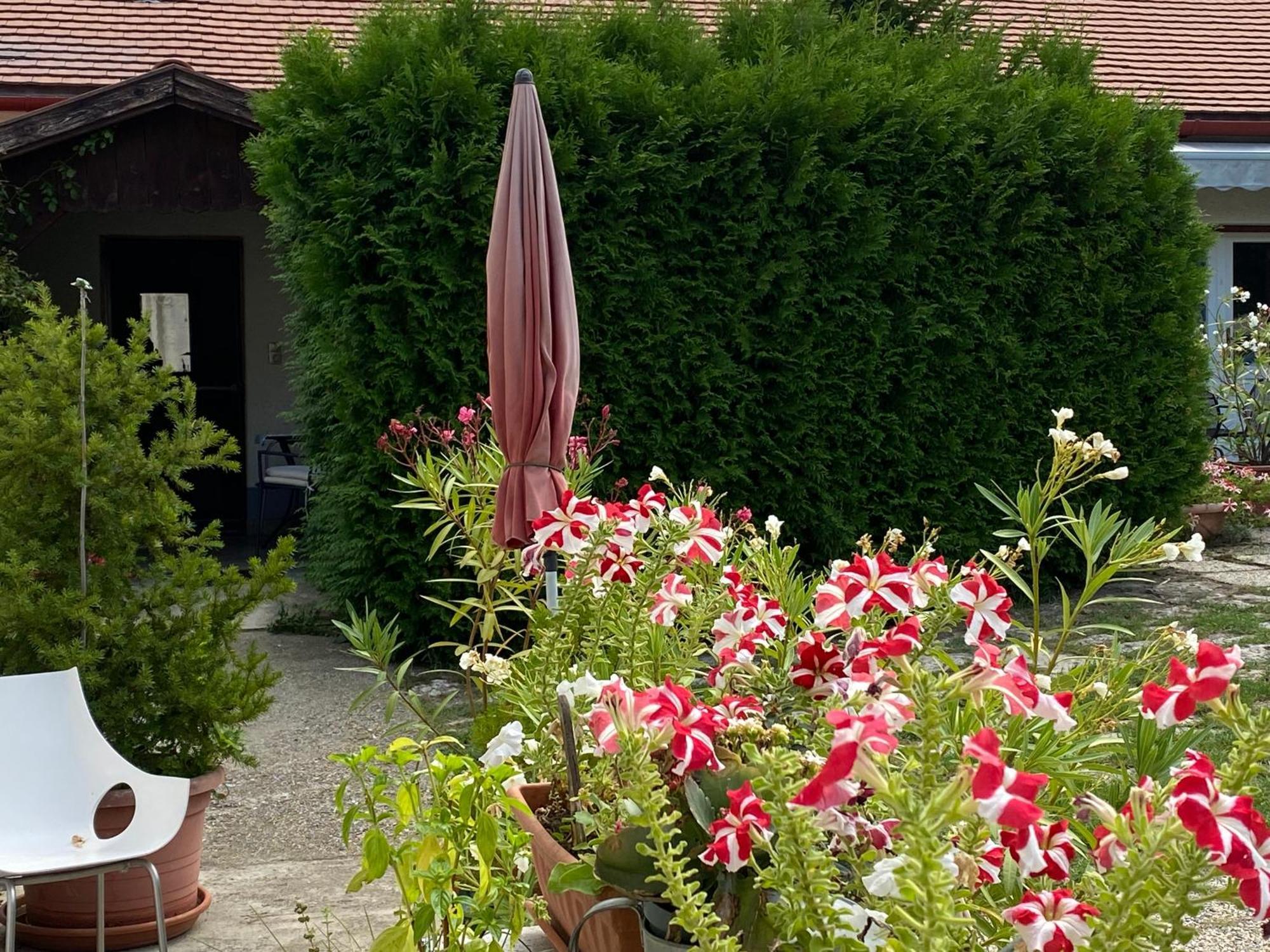 Mandula Haz Hotel Veszprém Buitenkant foto